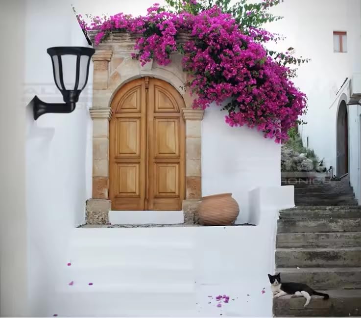 Ahuja International Solar Lights Outdoor Waterproof Dancing Fire Mashaal Flame Light, Wall Mount 3 Option to Install Landscape Lighting Dusk to Dawn Auto On/Off Security Torches