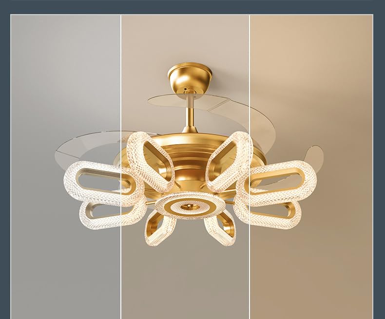 Ahuja International Designer Fan, Fandeilier, 8 Light Oval Crystal Ceiling Fan Chandelier Crystal and Remote Controled for Living Room Drawing Room - Warm White