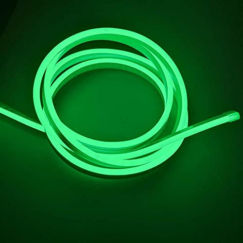 Ahuja International LED Neon Rope 5 Metre DC, Waterproof Outdoor Flexible Silicone Light Diwali, Christmas, Decoration 5 Meter Red Blue Amber Green Blue White Warm White Ice Blue Pink