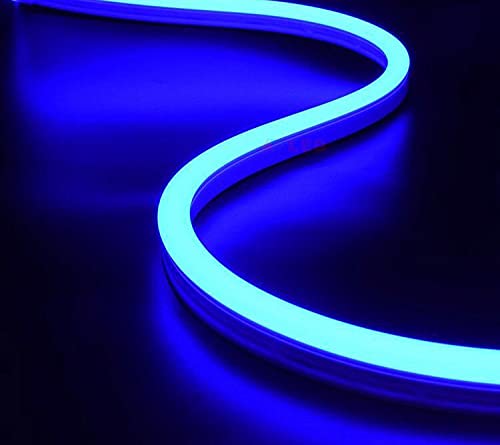 Ahuja International LED Neon Rope 5 Metre DC, Waterproof Outdoor Flexible Silicone Light Diwali, Christmas, Decoration 5 Meter Red Blue Amber Green Blue White Warm White Ice Blue Pink