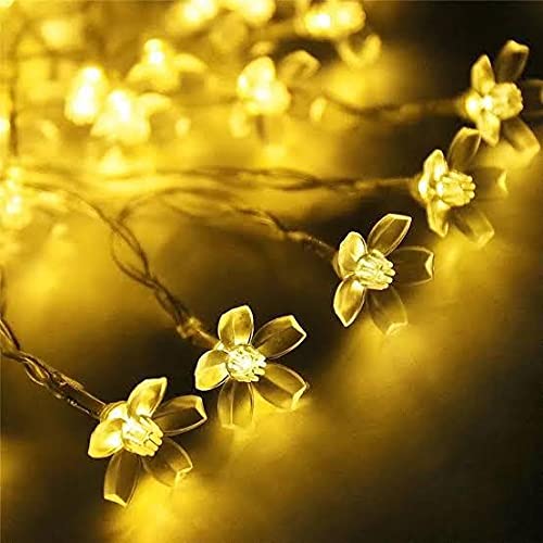 Ahuja International Flower Fairy String Lights, 3 metre 20 LED Christmas Lights for Diwali Home Decoration (Warm White, Green)