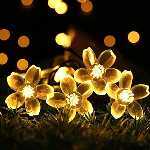 Ahuja International Flower Fairy String Lights, 3 metre 20 LED Christmas Lights for Diwali Home Decoration (Warm White, Green)