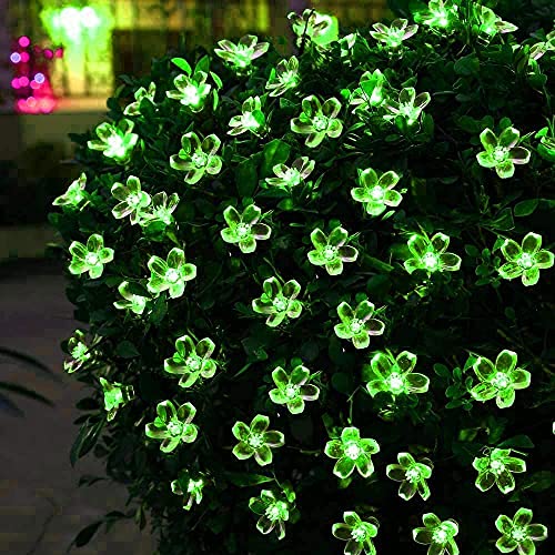 Ahuja International Flower Fairy String Lights, 3 metre 20 LED Christmas Lights for Diwali Home Decoration (Warm White, Green)